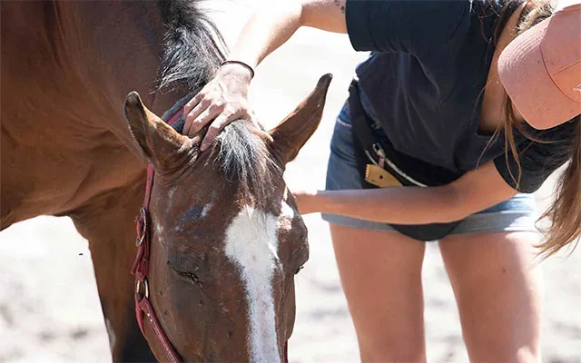 Uzupełniające terapie manualne