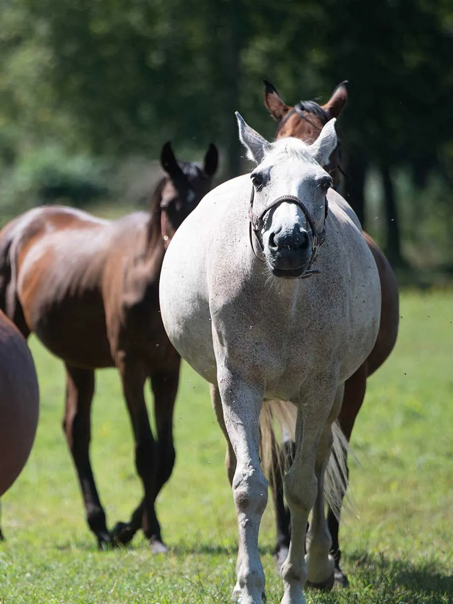 Przed pierwszą wizytą